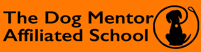 Dog Mentor School